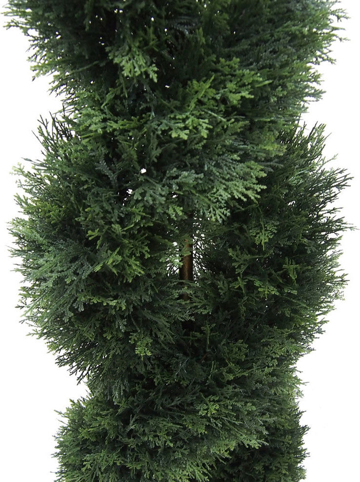 5' Cedar Double Spiral (Uv)