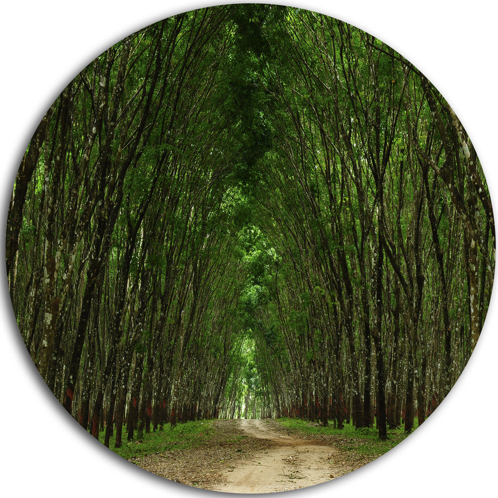 Pathway In Thick Green Forest, Landscape Photo Disc Metal Wall Art, 23"