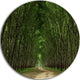 Pathway In Thick Green Forest, Landscape Photo Disc Metal Wall Art, 23"