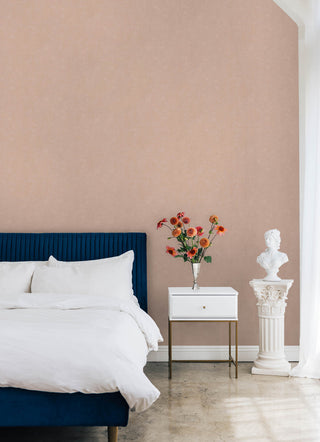 Mr. Kate Daphne Potter's Clay Peach Limewash Peel and Stick Wallpaper