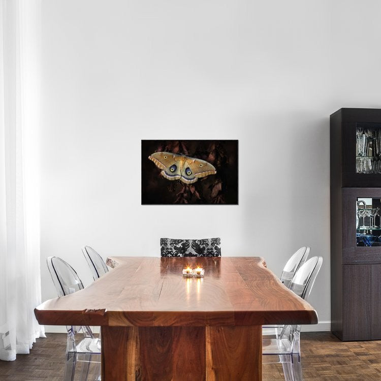 "Polyphemus" Framed Canvas Giclee by Jimmy Hoffman, 31x21"