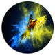 Flying Parrot Over Color Burst, Animal Art Disc Metal Wall Art, 38"