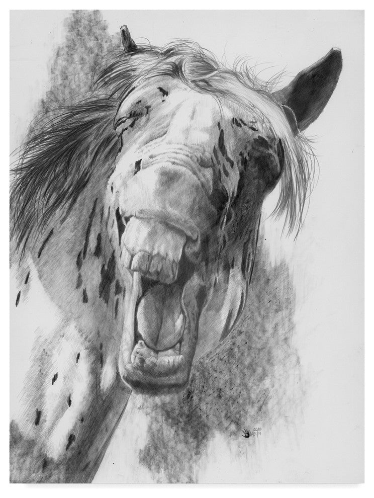 "The Critic" by Barbara Keith, Canvas Art