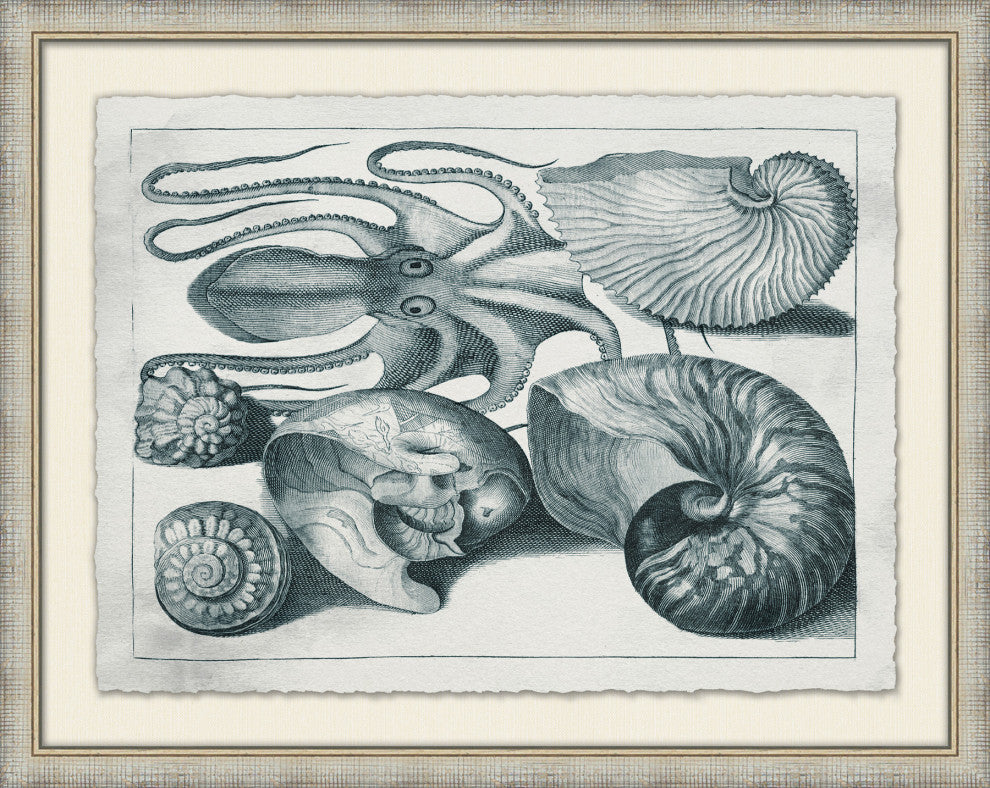 Aquatic Specimines 4, Giclee Reproduction Artwork