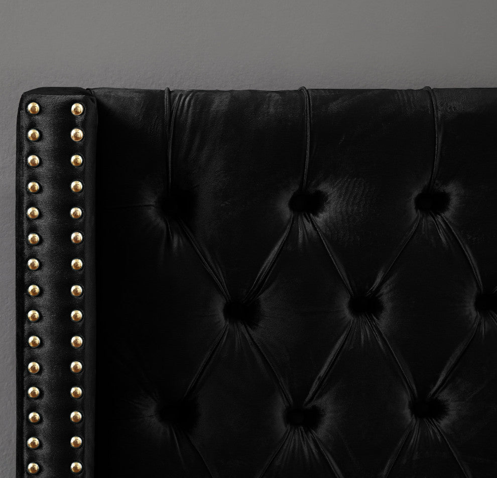 Barolo Velvet Upholstered Bed, Black, Full