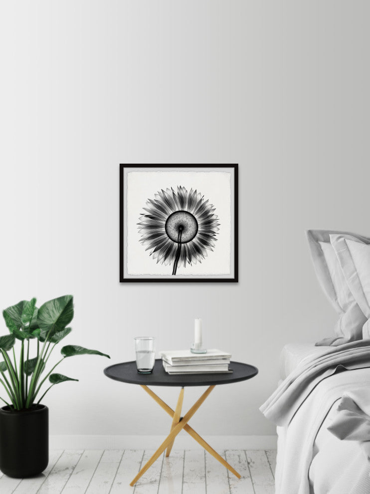 "Sunflower Petals" Framed Painting Print, 24x24