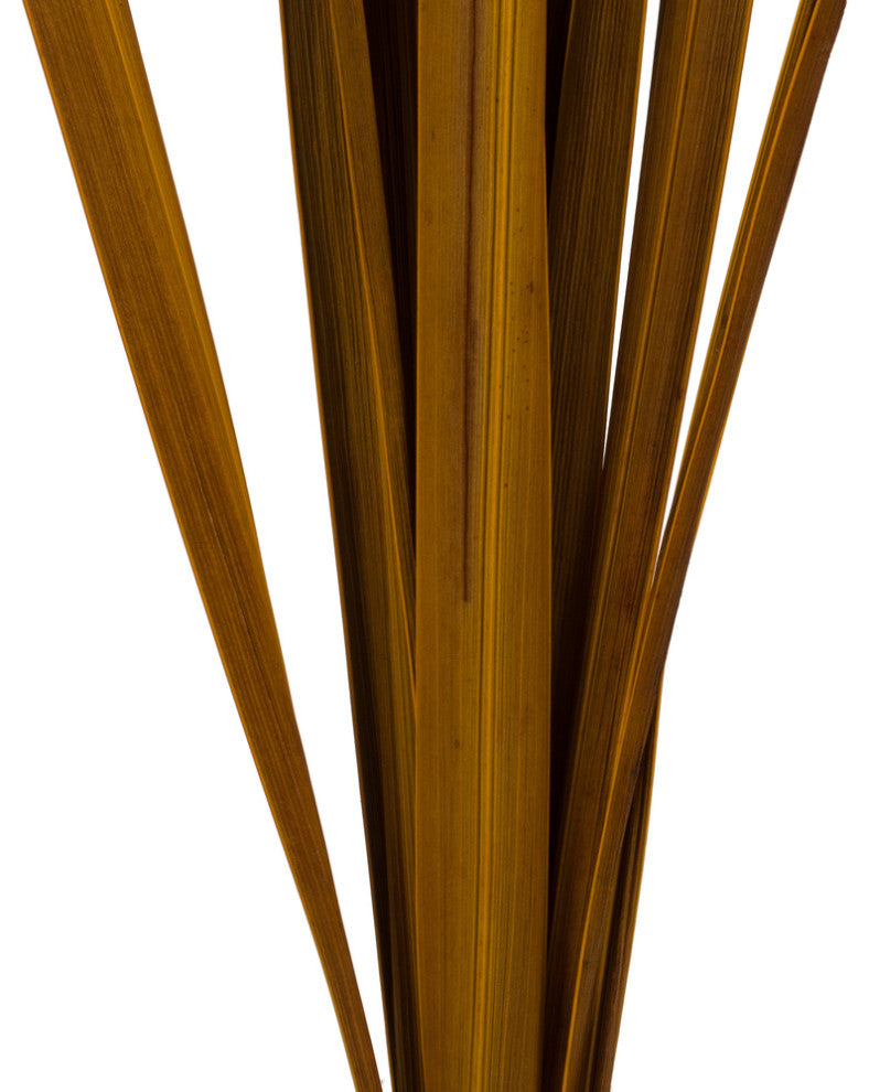 Vickerman 18-30" Snake Grass, Dried 36 Stems