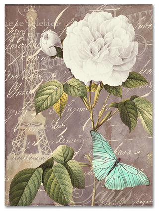 Color Bakery 'White Rose' Canvas Art, 24x32