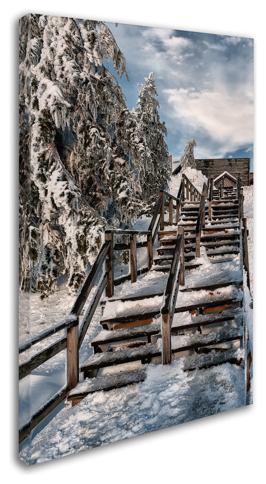 ''Watch Your Step'' Canvas Art by Lois Bryan