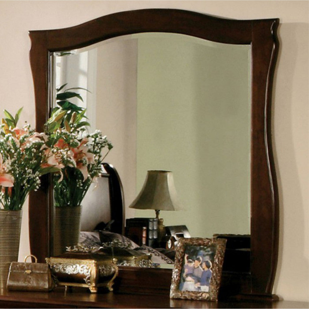 Esperia Dark Walnut Transitional Style Mirror