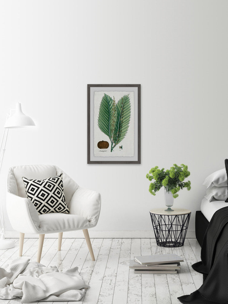 "Flore des Environs de Paris" Framed Painting Print, 16"x24"