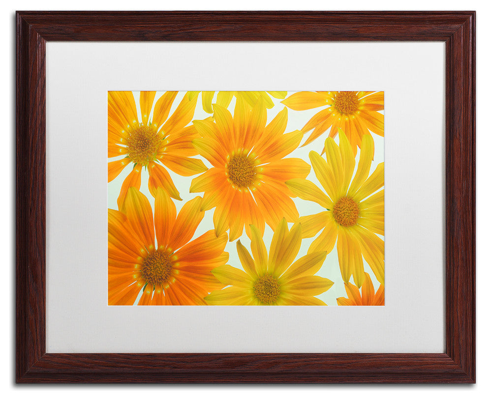 Cora Niele ''Orange Daisies'' Matted Framed Art