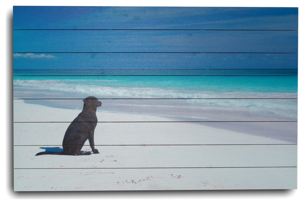 36" Energetic Dog at the Beach Wood Plank Wall Art