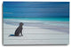 36" Energetic Dog at the Beach Wood Plank Wall Art