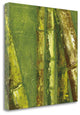 "Bamboo Columbia I" By Tita Quintero, Giclee Print on Gallery Wrap Canvas