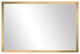 Ellis Framed Wall Mirror, Champagne Gold, 28"x48"