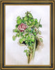 Paul Cezanne Rose Bush Framed Premium Canvas Print, 21"x28"