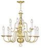 Livex 5012-02 12 Light Polished Brass Chandelier, Polished Brass