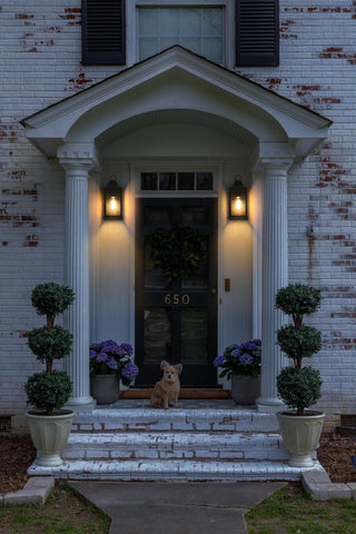 Home Living 6" Outdoor Wall Sconce, Black
