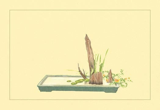Reed and Pond Lily - Fine Art Giclee Print 24" x 36"