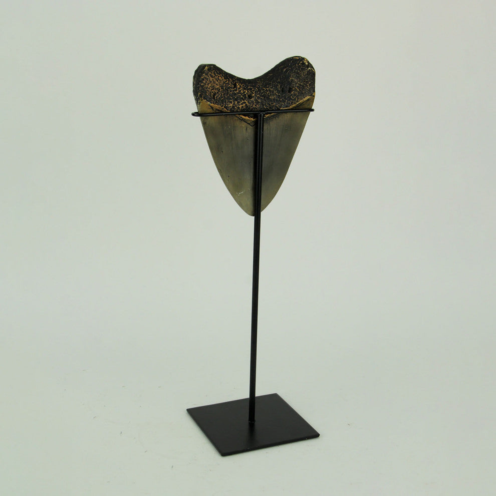 Mounted Giant Megalodon Shark Tooth Fossil Sculpture