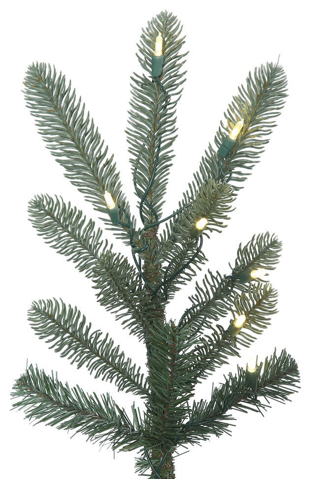 4' X 32" Alberta Blue Spruce 150Ledwmwht