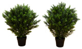 3ft. Artificial Cedar Tree UV Resistant, Indoor/Outdoor Set of 2