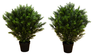 White-background product image displaying the full two-tree set with no distractions.