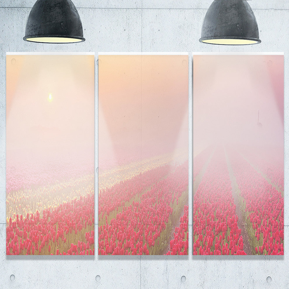 "Sunrise Over Rows of Tulips" Metal Wall Art, 3 Panels, 36"x28"