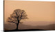 "Sentinel at Dusk" Wrapped Canvas Art Print, 24"x14"x1.5"