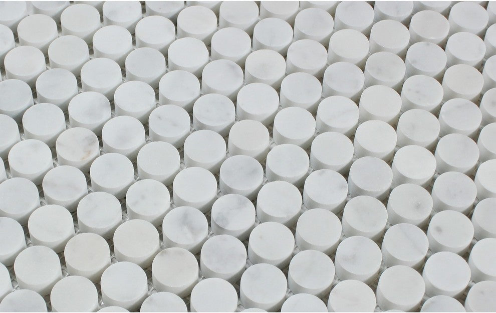 Carrara White Marble Polished Penny Round Mosaic Tile