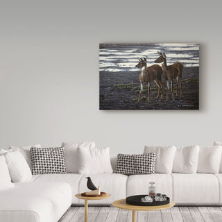 Ron Parker 'On The Flats' Canvas Art, 24"x16"