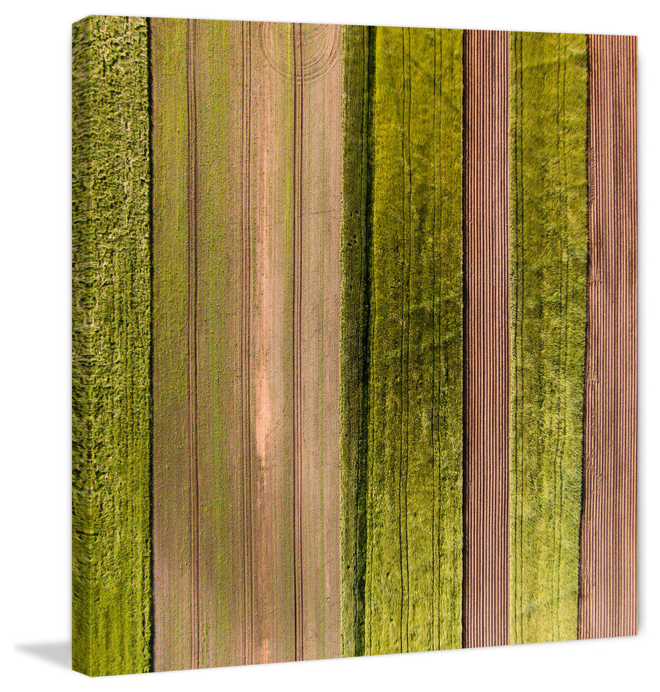 "Crop Rows" Print on Canvas by Karolis Janulis
