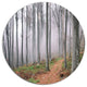 Thick Woods In Morning Forest, Modern Forest Round Wall Art, 11"