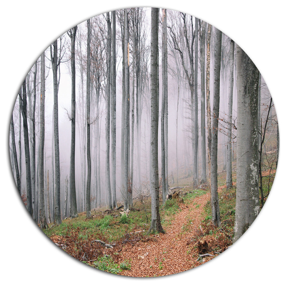 Thick Woods In Morning Forest, Modern Forest Round Wall Art, 11"