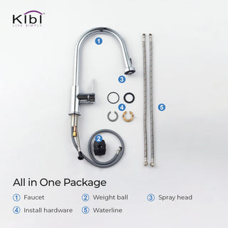 Casa Single Handle Pull Down Faucet, Chrome, W/ Soap Dispenser