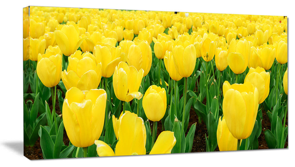 Bright Tulip Flowers in Garden, Floral Canvas Art Print, 32"x16"