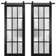 Double Barn Door 48 x 80, Felicia 3312 Matte Black Frosted Glass, 13' Rail
