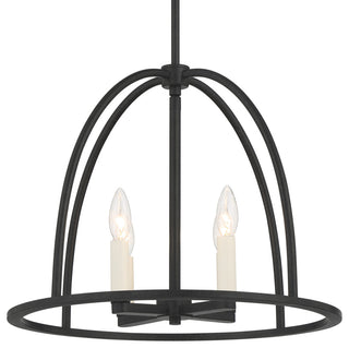 Abbott Four Light Chandelier in Black