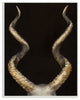 Goat Horns Shadow Black Gold Animal Painting, 13"x19"