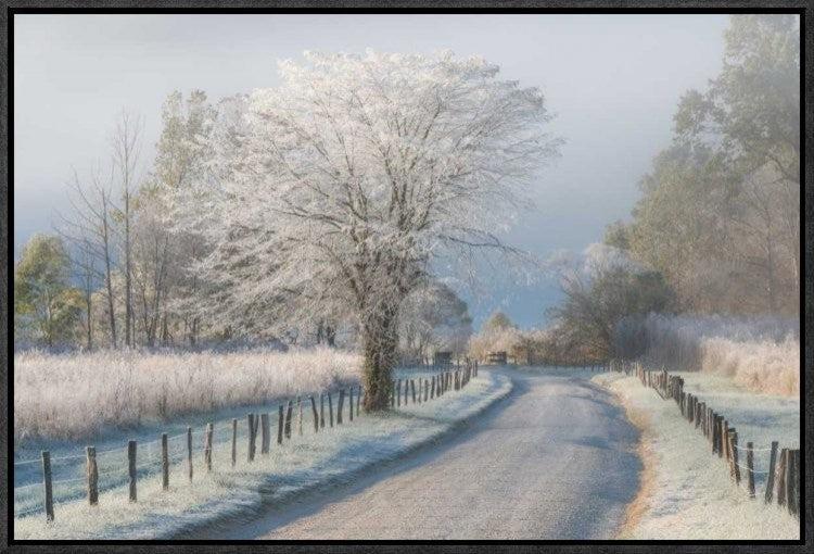 "A Frosty Morning" Framed Canvas Giclee by Chris Moore, 23x16"