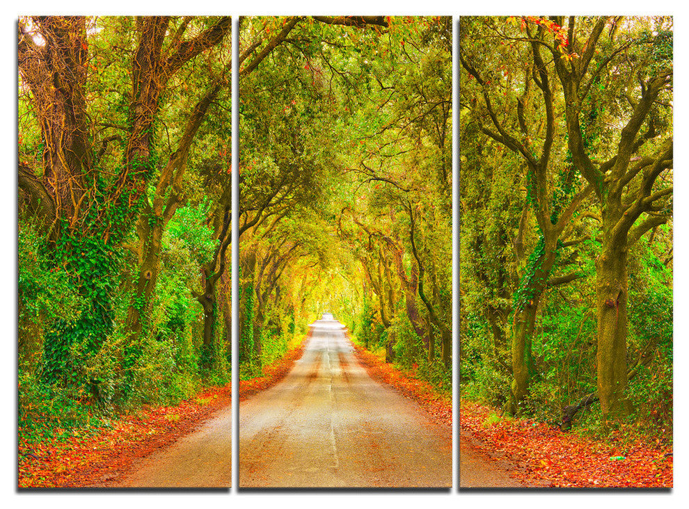 "Fall Greenery and Road Straight Ahead" Forest Metal Wall Art, 3 Panels, 36"x28"