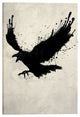 Cortesi Home "Raven" by Nicklas Gustafsson, Giclee Canvas Wall Art, 40"x60"