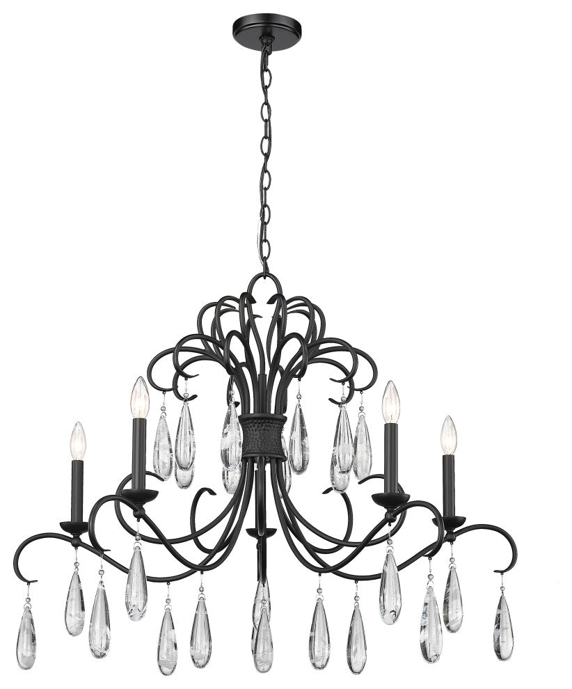 Z-LITE 5-Light Chandelier, Matte Black