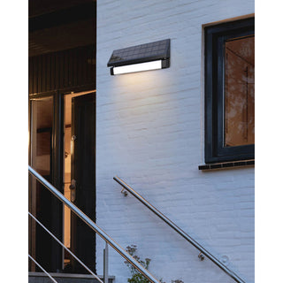 Solar SMART Sensing Self-Contained Selectable LED Color Flood Pathway Wall Light