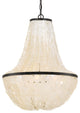 Brielle 6 Light Chandelier in Dark Bronze