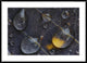 Water Drops On A Leaf, Goldenstedt, Lower Saxony, Germany, 42"x30"