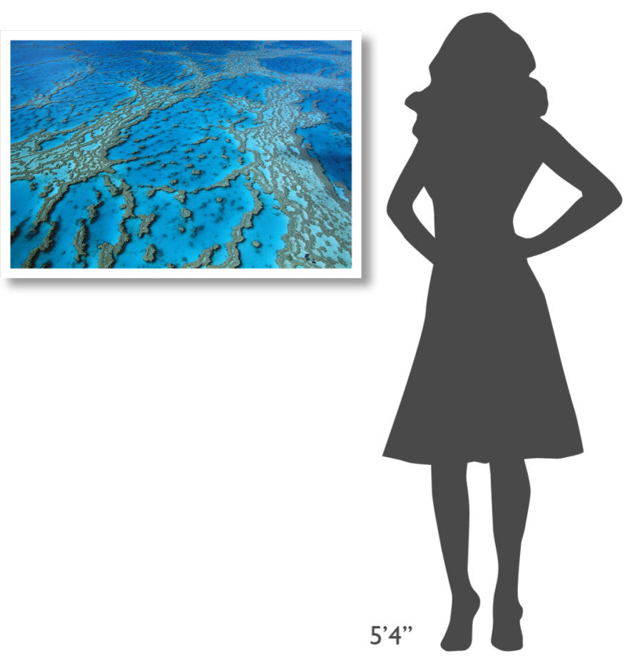 "Coral formation, Hardy Reef, Great Barrier Reef, Queensland" Paper Art, 38"x26"