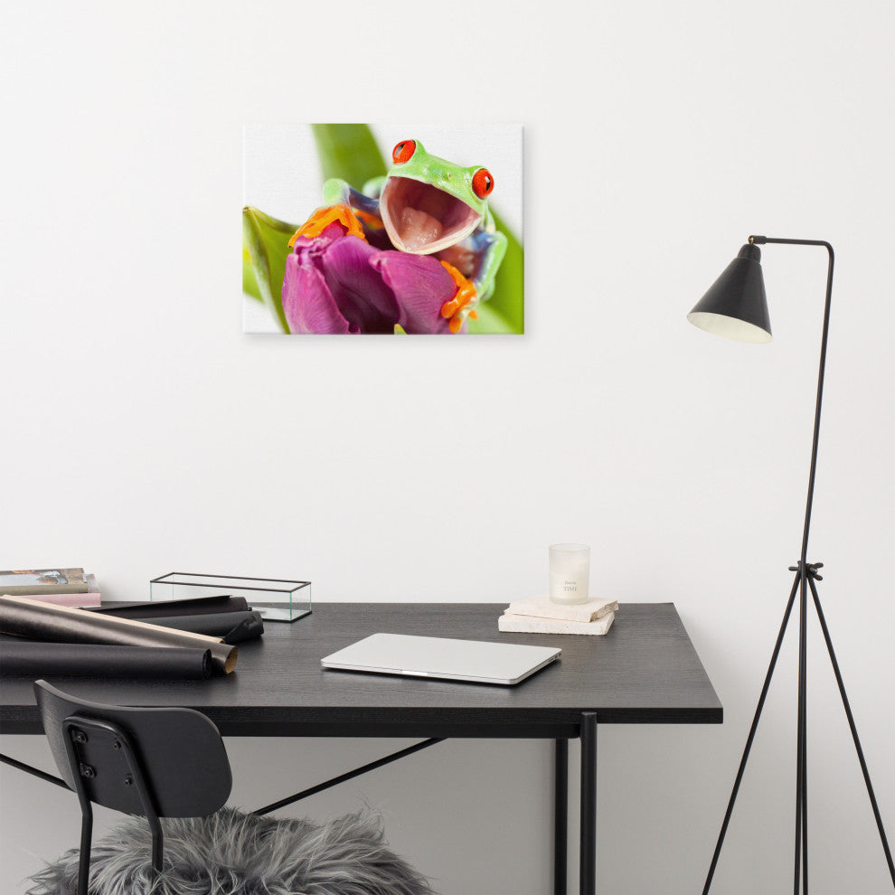 Red Eyed Tree Frog on Purple Tulip Flower Wildlife Photo Canvas Wall Art Print, 18" X 24"