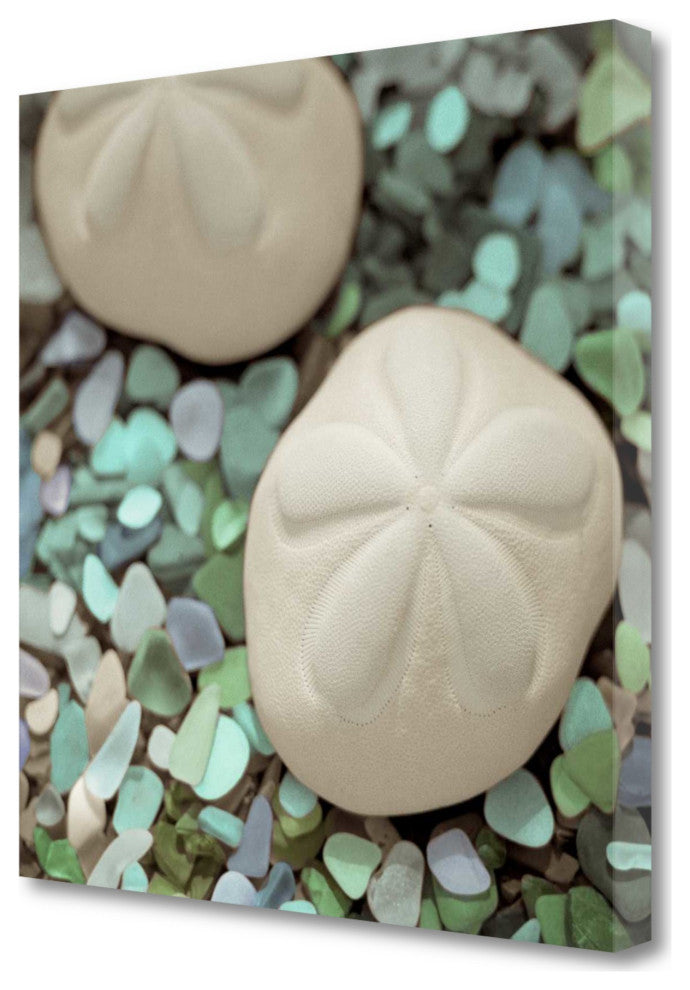 12" Two Sandollars and Seaglass 4 Giclee Wrap Canvas Wall Art